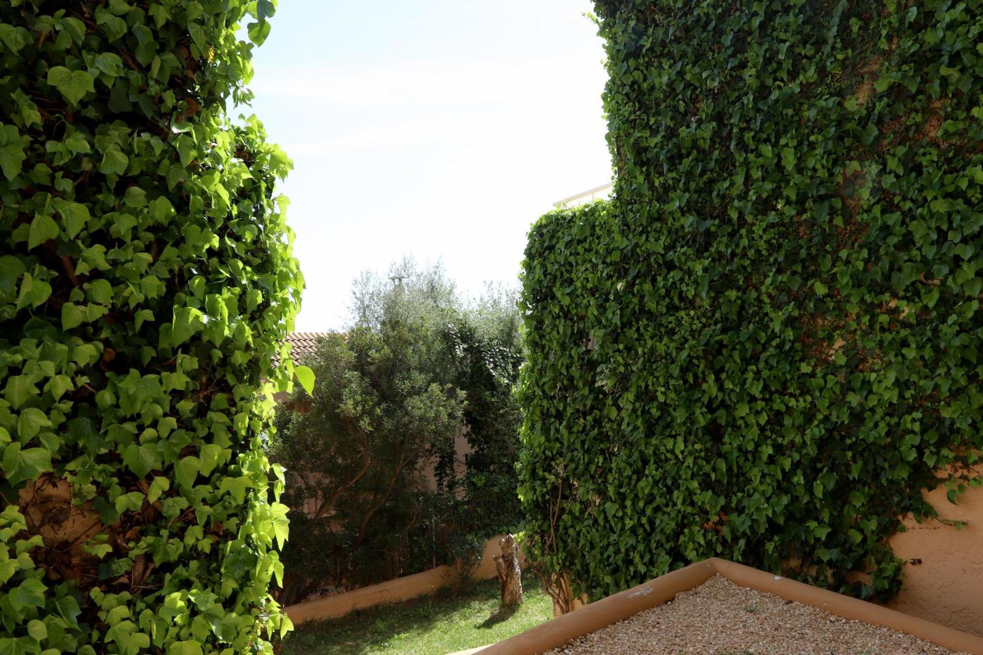Appartement Aldea 2 Cala Fornells à Peguera Extérieur photo